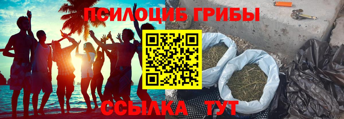 Псилоцибиновые грибы мицелий Казань